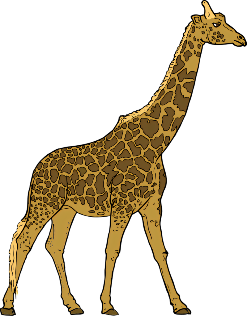 Elegant Giraffe Illustration on Transparent Background - Versatile Design Wallpaper