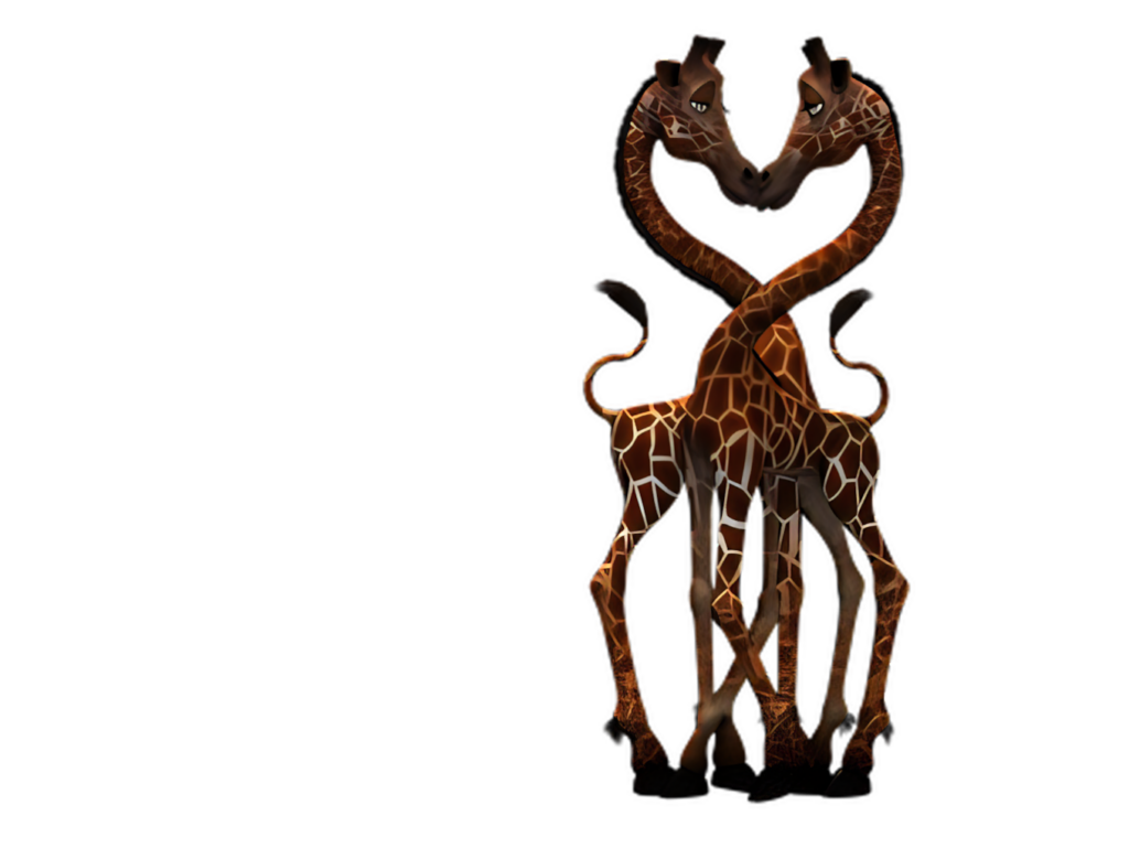 Elegant Giraffes Forming Heart Shape Wallpaper on Dark Background