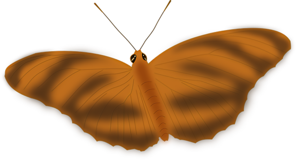 Elegant Glowing Butterfly Silhouette - Intricate Wallpaper Design