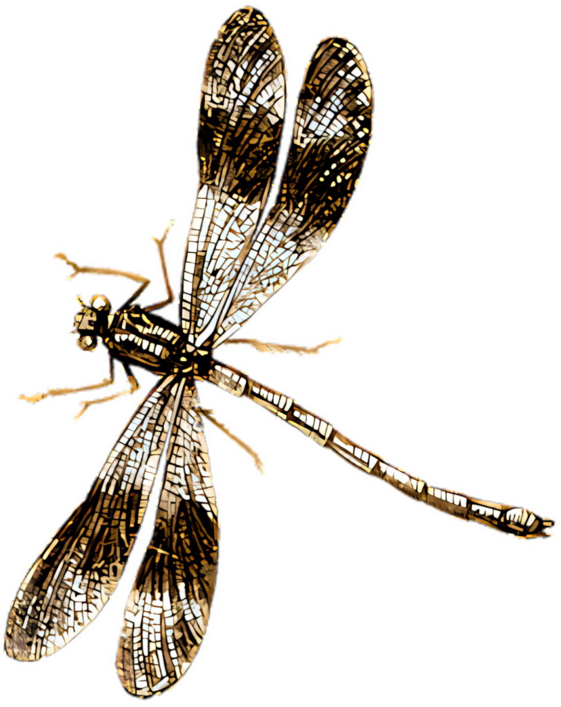 Elegant Golden Dragonfly Wallpaper: Intricate Mosaic Art Design