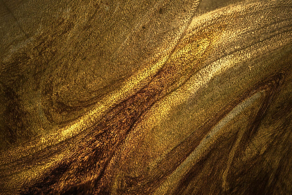 Elegant Gold & Wood Wallpaper: A Luxurious, Stunning Background