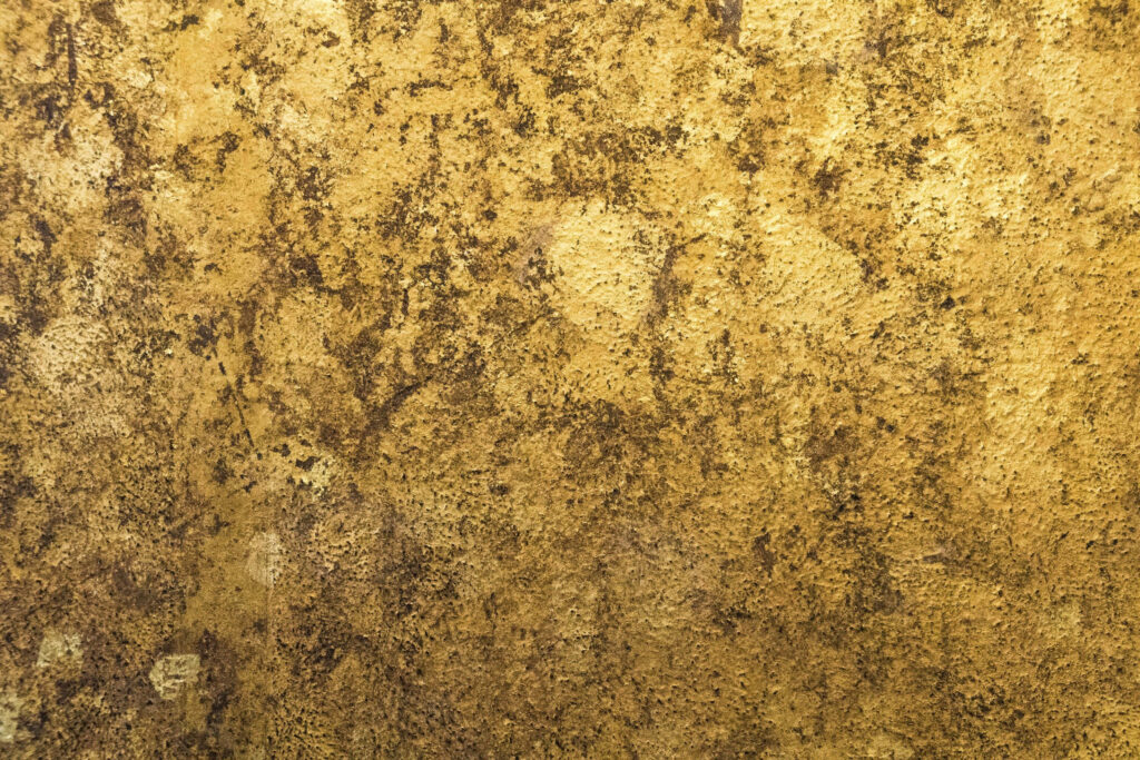 Elegant Gold Wallpaper with Intricate Natural Patterns - Rich Texture