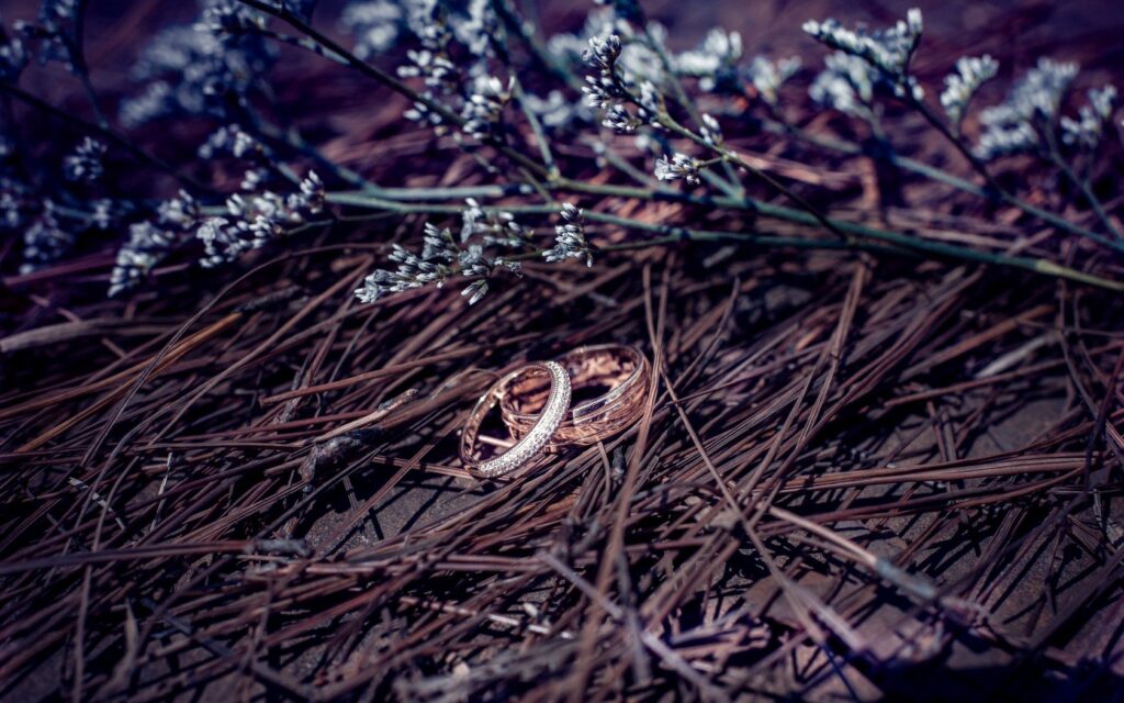 Elegant Gold Wedding Rings - Romantic 1680x1050 Wallpaper Background