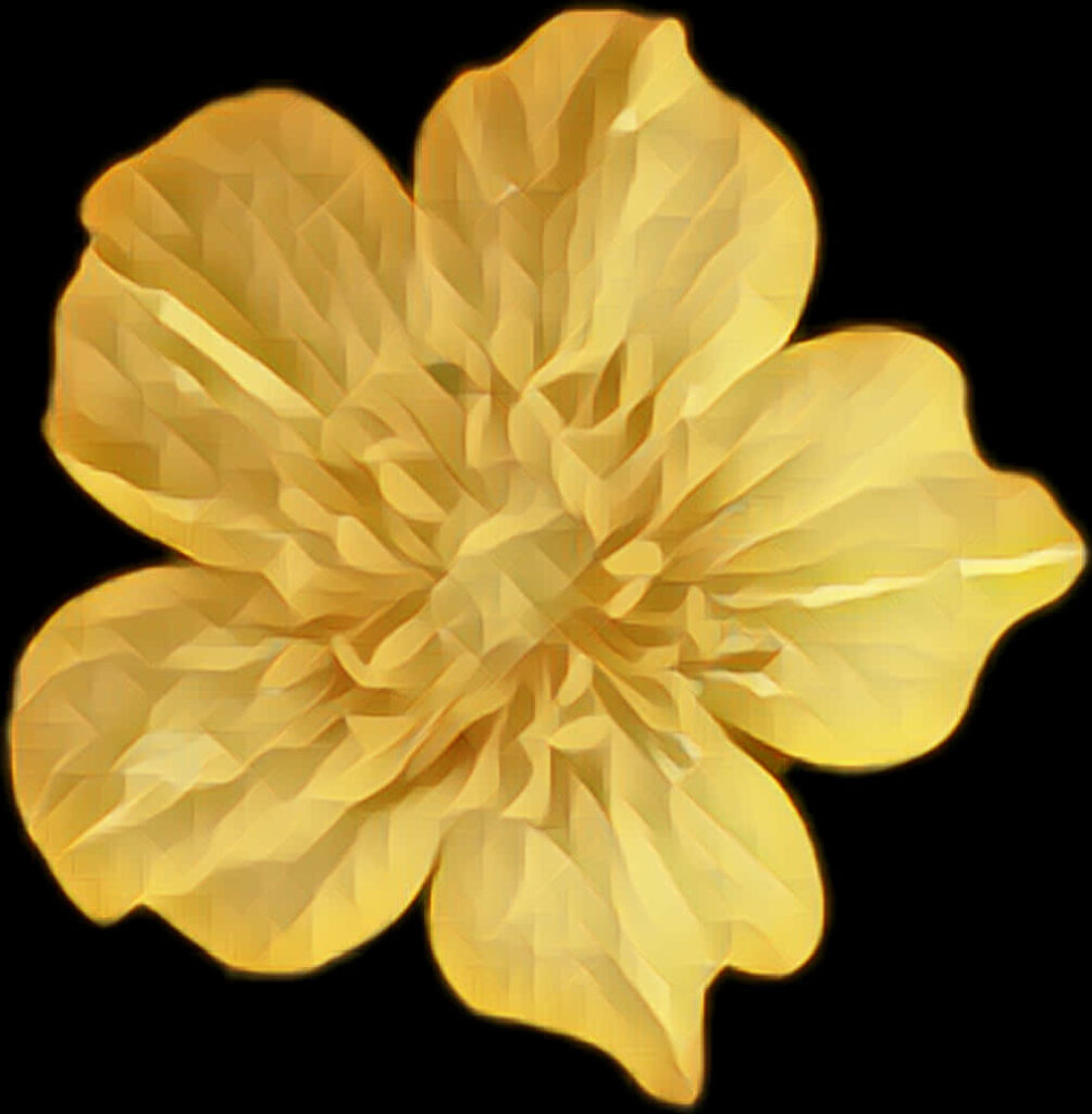 Elegant Golden Flower Wallpaper with Geometric Design on Black