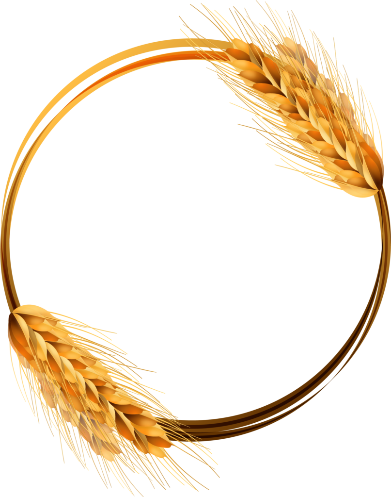 Rustic Wallpaper: Golden Wheat Ears Frame for Abundance & Nature