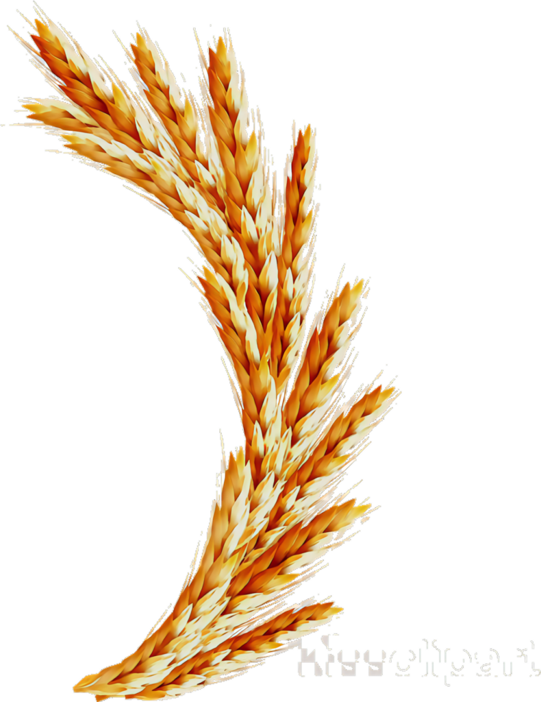 Elegant Golden Wheat Sheaves Wallpaper - Nature-Inspired Background