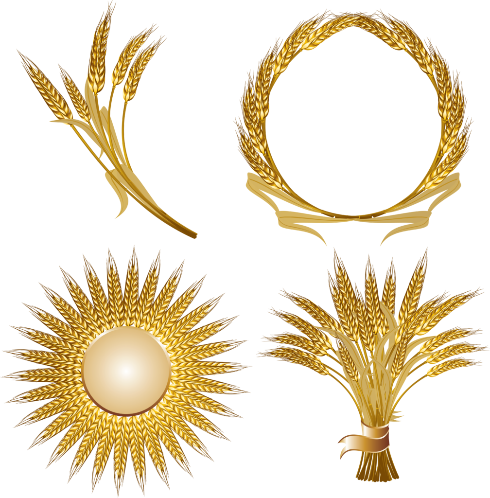 Elegant Golden Wheat Wallpaper for Rustic Agricultural Designs