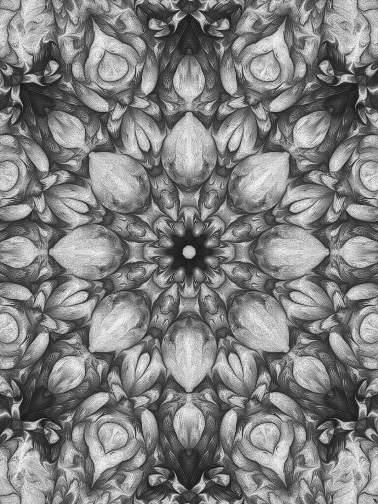 Elegant Grayscale Flower Fractal Wallpaper - 1920x2560 Background