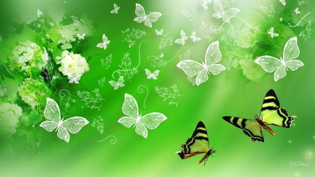 Elegant Butterfly Floral Wallpaper - Fresh Green Design Background