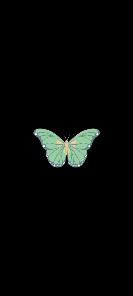 Minimalistic Green Butterfly Wallpaper for OnePlus 9R - Elegant Design