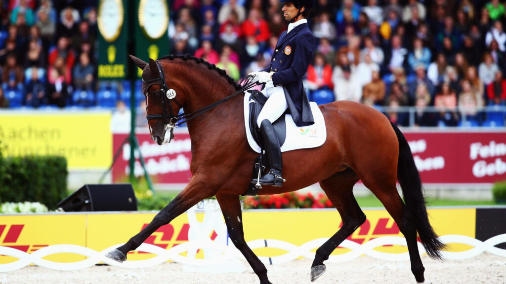 Elegant Horseback Riding Wallpaper Featuring Goncalo Carvalho's Skills
