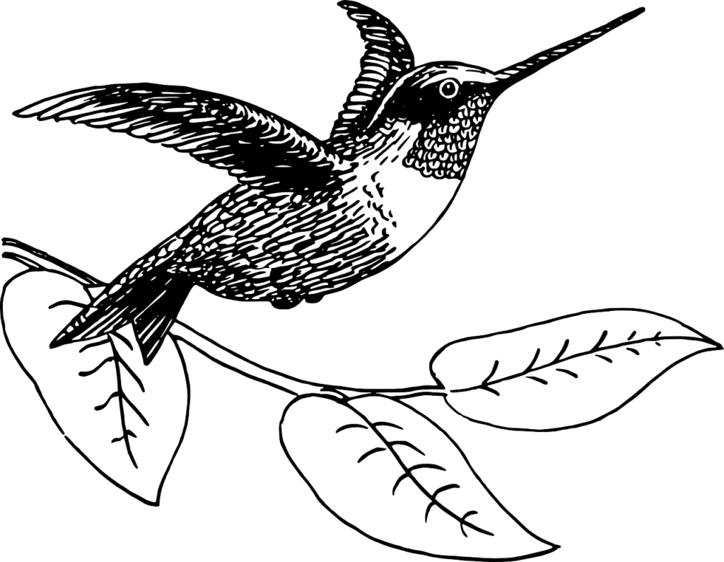 Monochrome Hummingbird Wallpaper: Elegant Vector Illustration