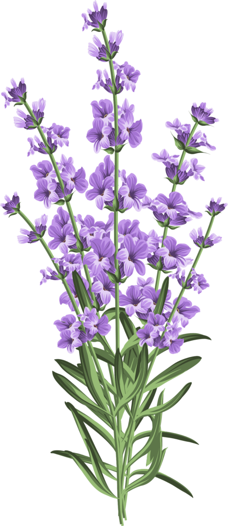 Elegant Lavender Flowers Wallpaper: Delicate Purple & Green Design