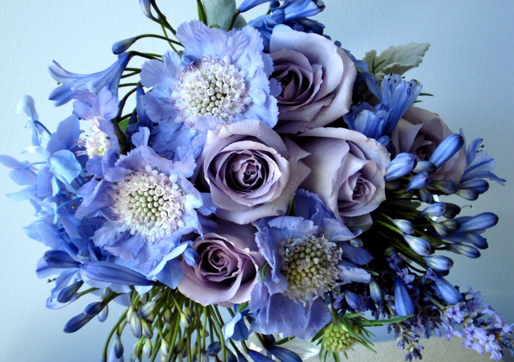 Elegant Lavender Rose & Blue Agapanthus Floral Wallpaper Background