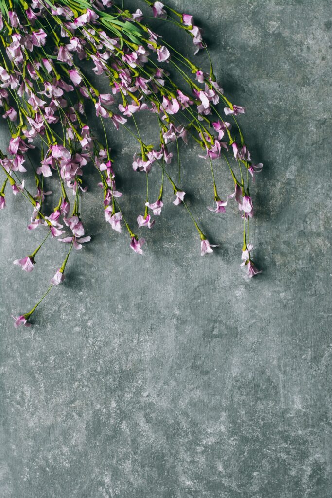 Delicate Light Purple Flower Wallpaper on Textured Gray Background