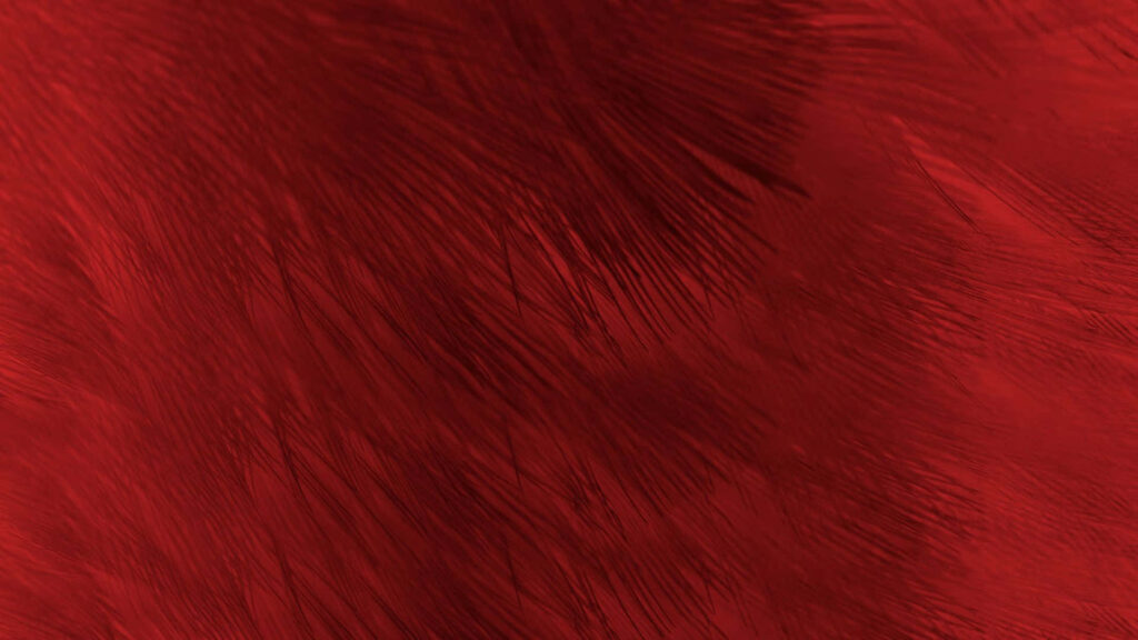 Elegant Maroon Red Wallpaper with Soft Feather-Like Patterns