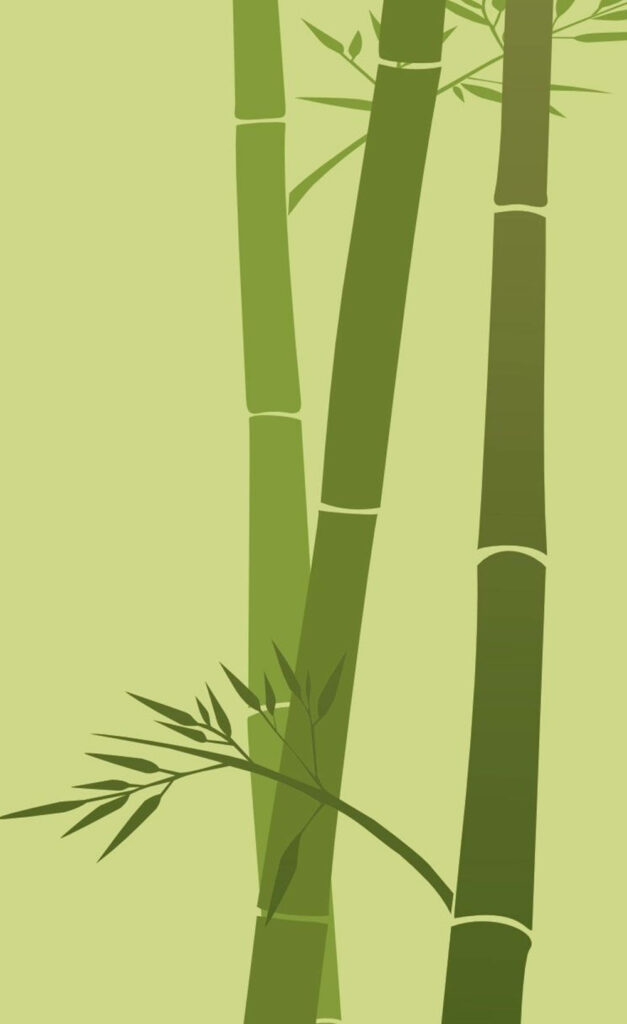 Elegant Bamboo Wallpaper for iPhone: Minimalist Light Green Design