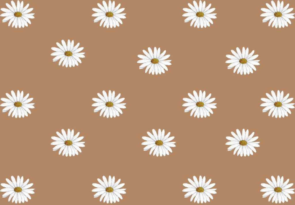 Elegant Minimalist Wallpaper: White Daisies on Brown Background