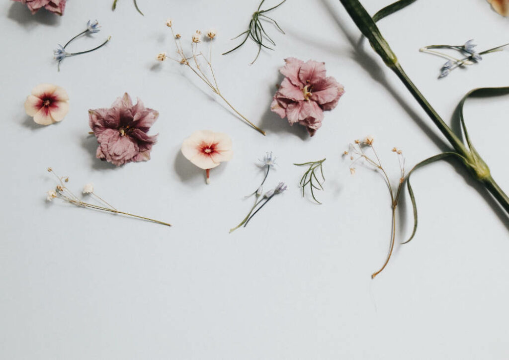 Elegant Minimalist Flower Wallpaper: Soft Background Serenity