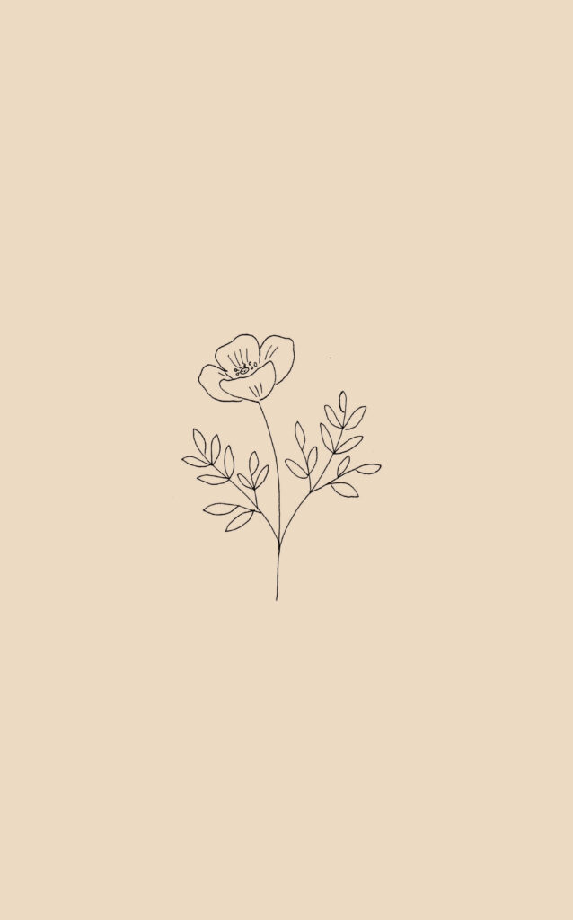 Minimalist Flower Line Drawing Wallpaper on Soft Beige Background