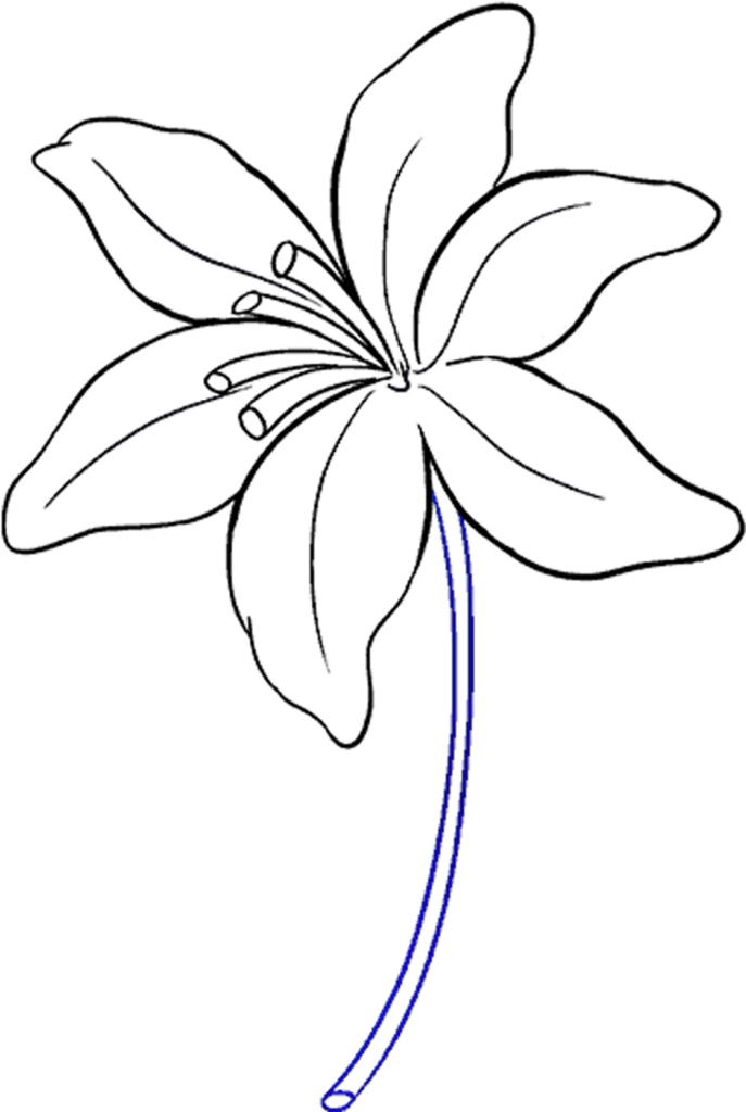 Elegant Minimalist Lily Line Drawing Wallpaper for Stylish Background