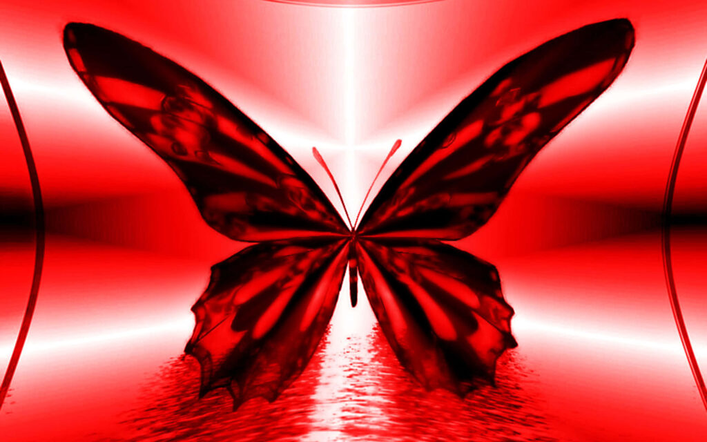 Elegant Minimalist Wallpaper: Bold Red Butterfly on Reflective Background
