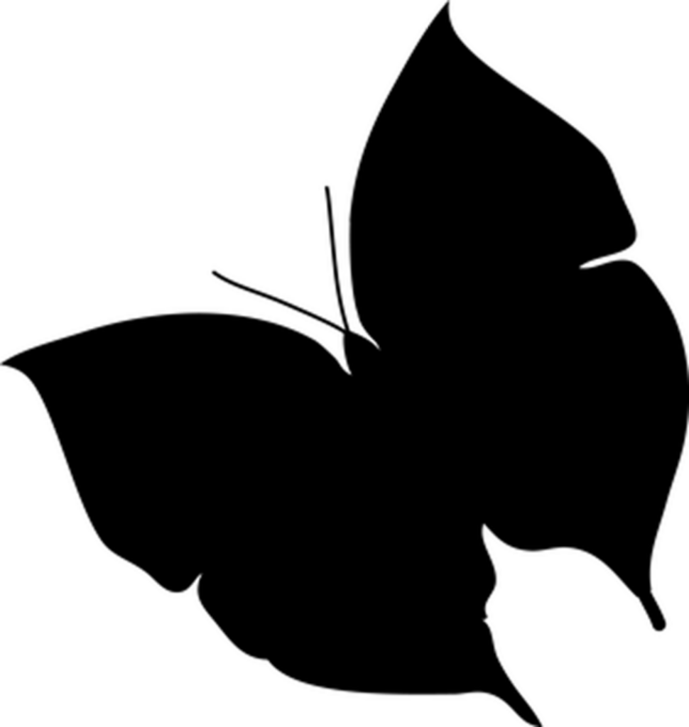 Elegant Monarch Butterfly Minimalist Wallpaper on Black Background
