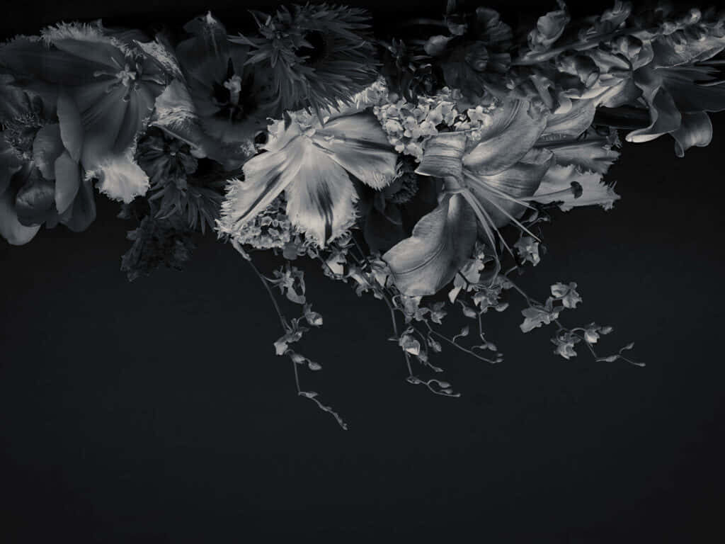 Elegant Monochrome Flower Wallpaper on Dark Background