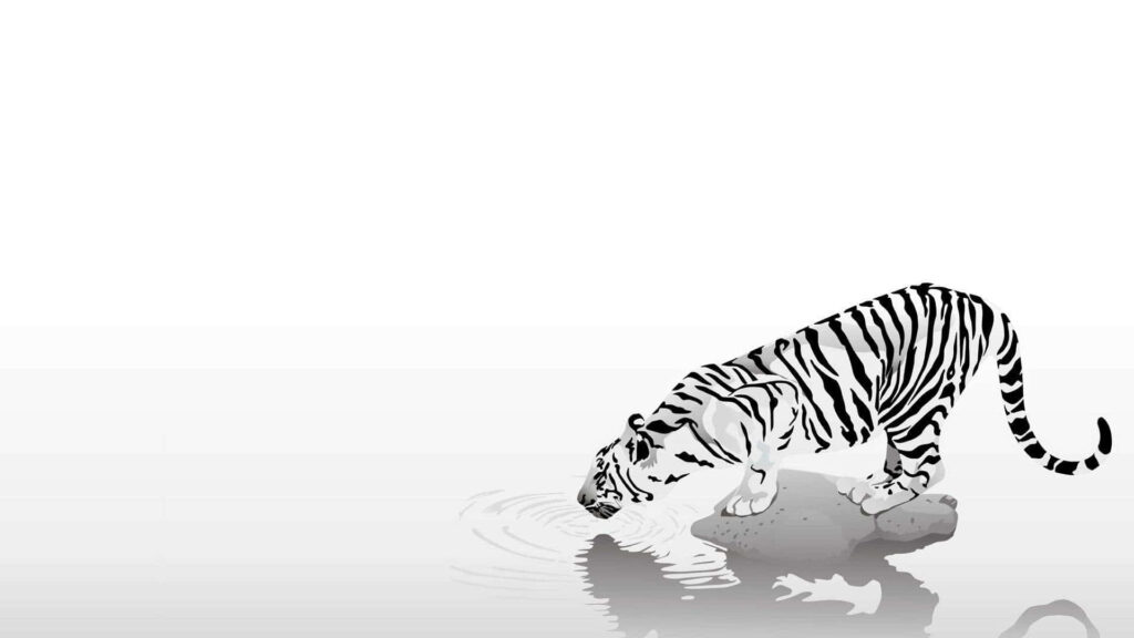 Monochrome Tiger Wallpaper: Elegant Stripes and Tranquil Reflection