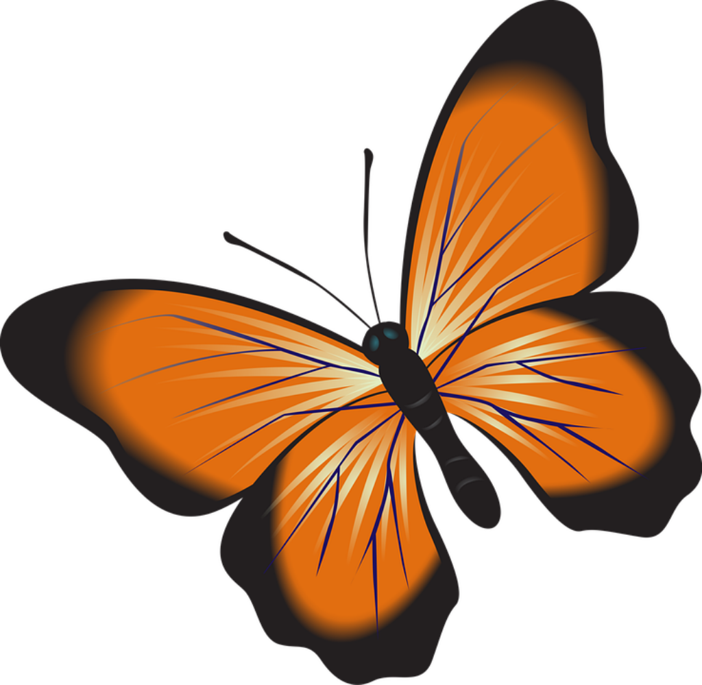 Elegant Orange Butterfly Graphic | Detailed Patterns Wallpaper Background
