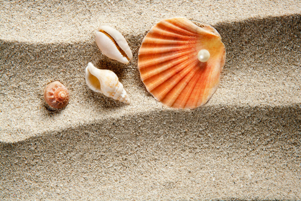 Orange scallop shell with pearl and smaller seashells on rippled sand beach wallpaper background