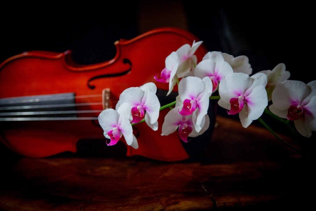 Elegant Orchid and Violin Wallpaper: Moody Artistic Background