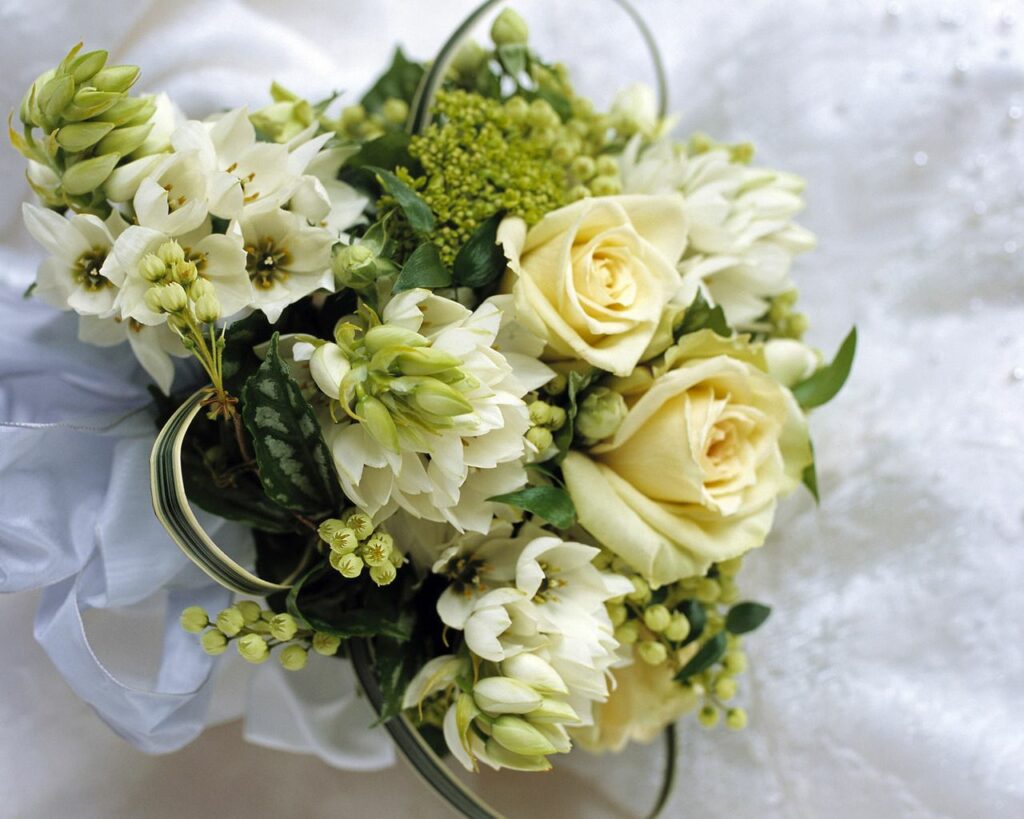 Pale Yellow Roses & White Flowers: Elegant Serene Wallpaper Background