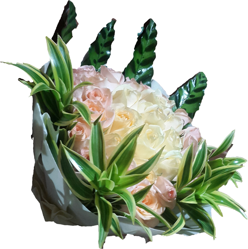 Elegant Pastel Rose Bouquet Wallpaper with Lush Green Leaves