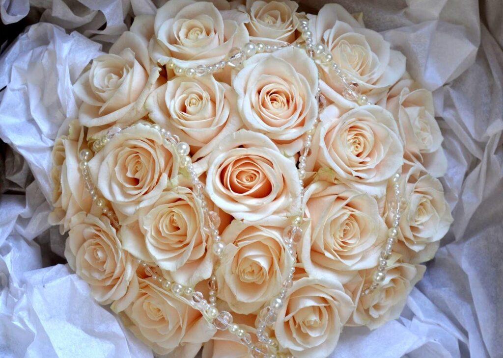 Elegant Peach Roses Wallpaper: Romantic & Tender Floral Background
