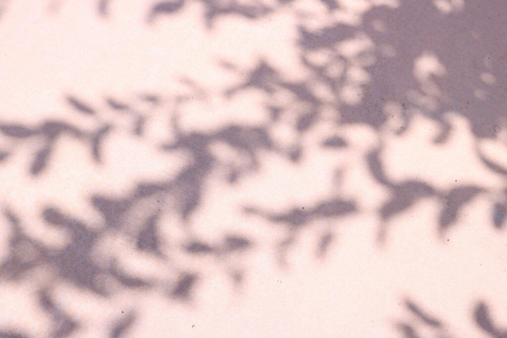 Elegant Pink Concrete Wallpaper with Tree Branch Shadow Background