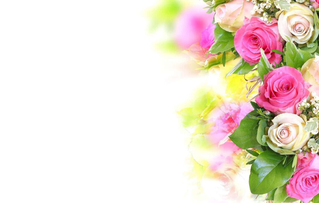 Elegant Pink & Cream Rose Floral Wallpaper with Soft Background