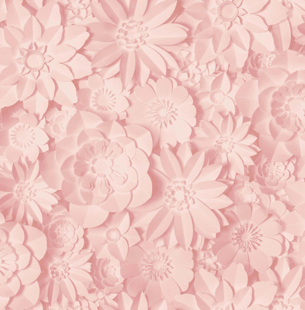 Elegant Pink Flower Wallpaper - HD Nature-Inspired Background