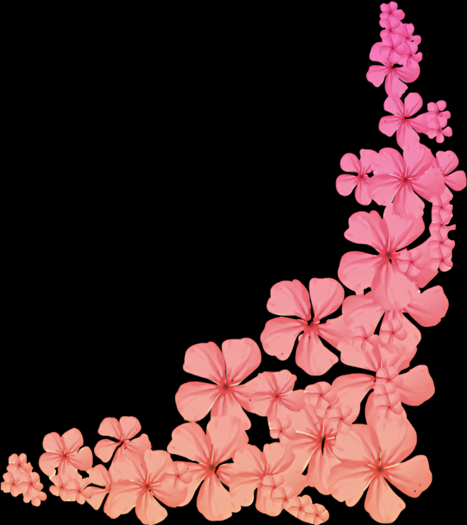 Elegant Pink Flower Wallpaper with Transparent Background for Overlay
