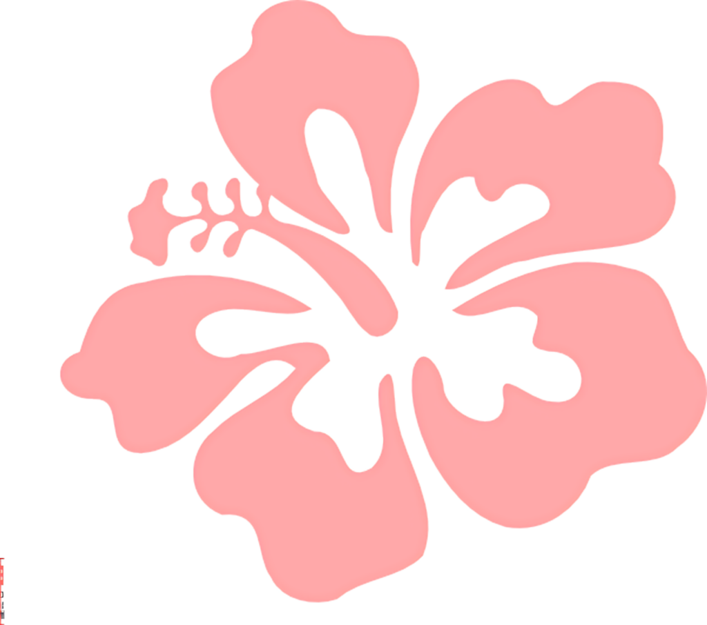 Elegant Pink Hibiscus Wallpaper: Minimalist Floral Design Background