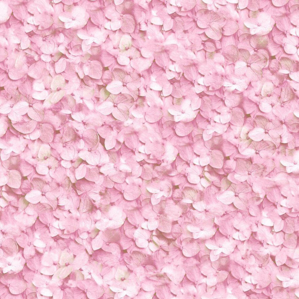 Elegant Pink Hydrangea Floral Wallpaper - Soothing Background Design