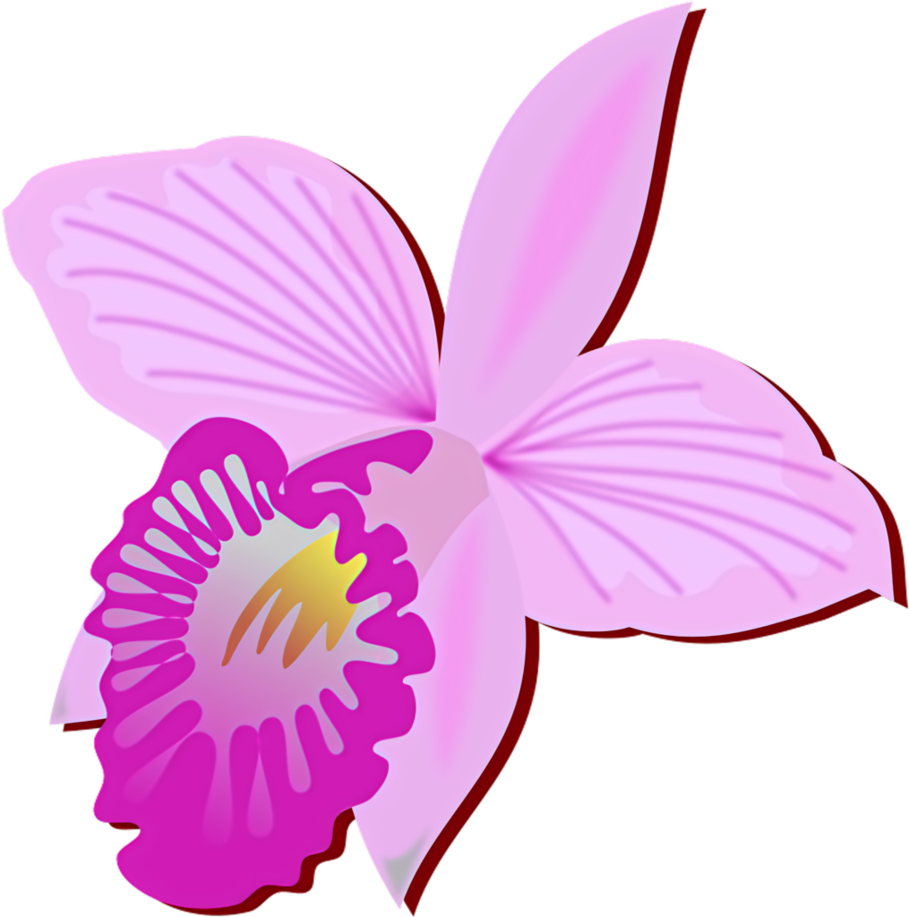 Delicate Pink Orchid Wallpaper: Elegant Tropical Floral Background