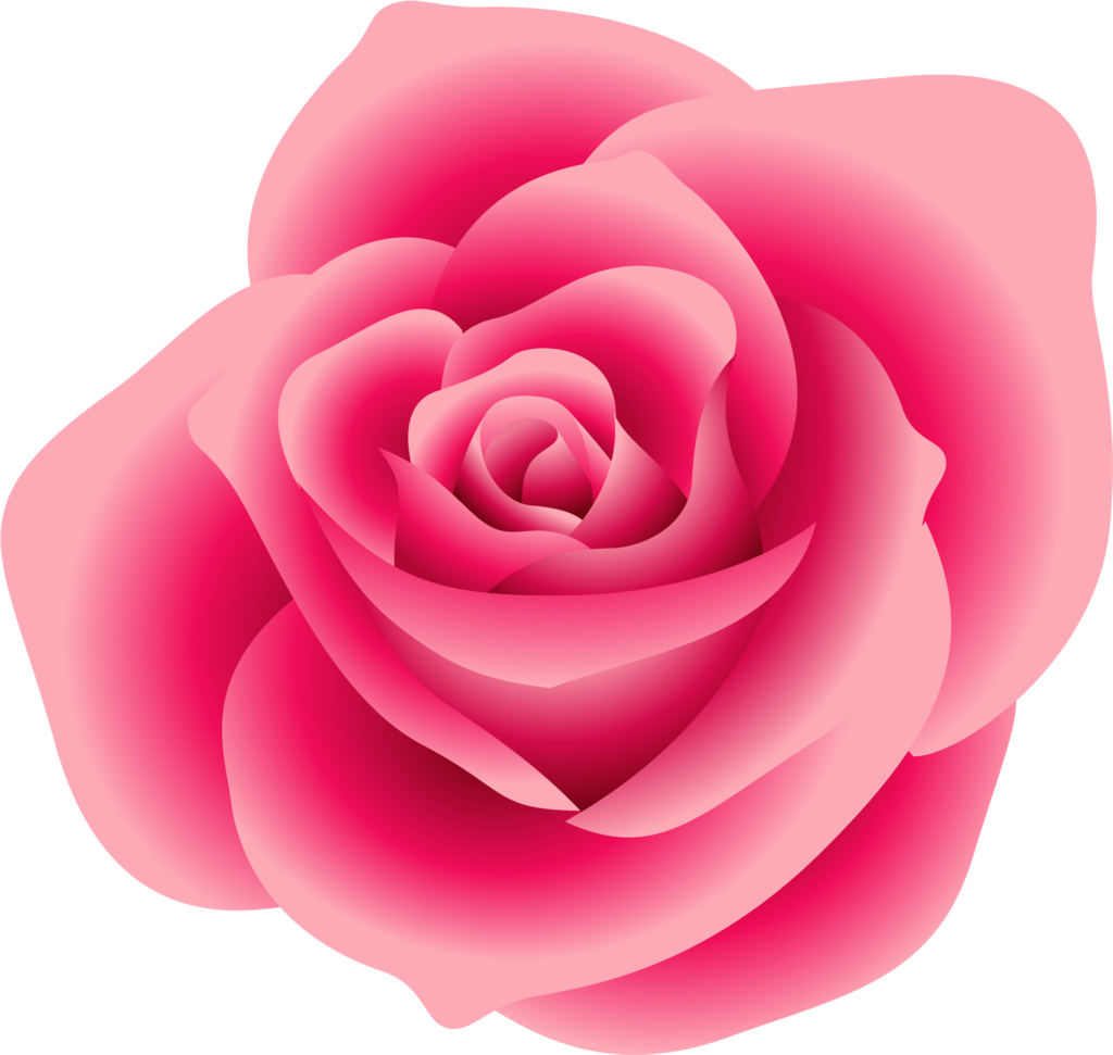Vibrant Pink Rose Graphic: Elegant Floral Design for Digital Displays Wallpaper