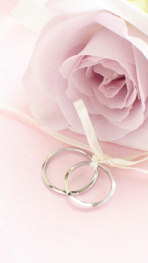 Elegant Pink Rose with Silver Rings on Soft Background Wallpaper
