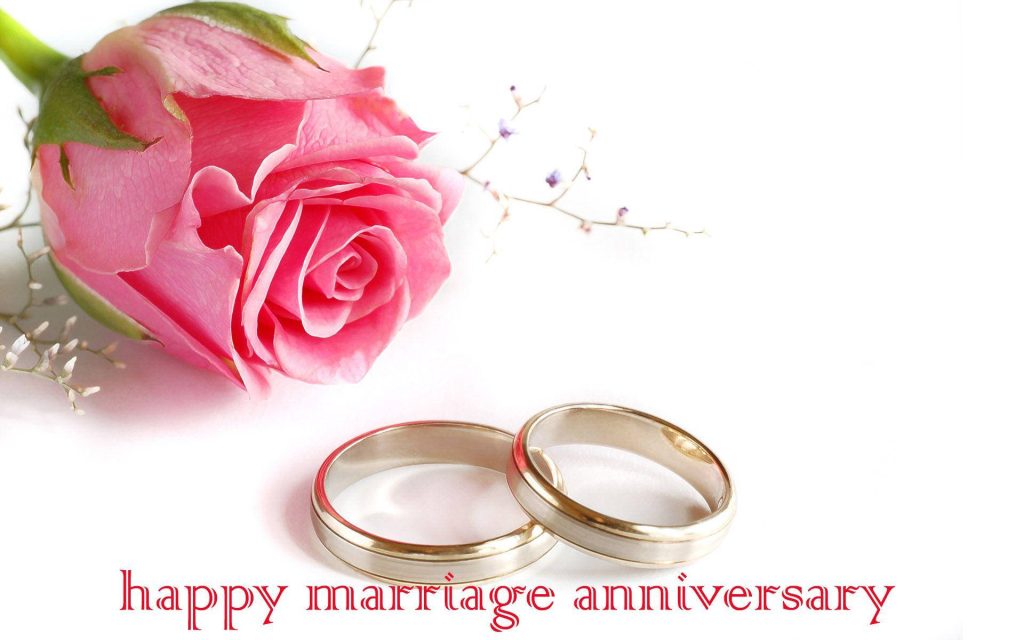 Elegant pink rose and gold wedding rings with baby’s breath and happy marriage anniversary text Wallpaper