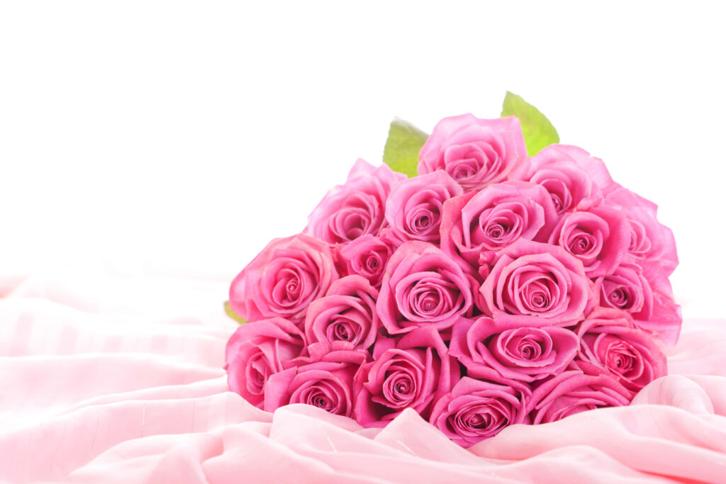 Elegant Pink Rose Bouquet on Soft Fabric Background Wallpaper