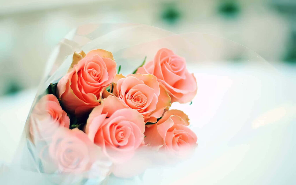 Elegant Soft Pink Rose Bouquet Wallpaper - Soothing Background