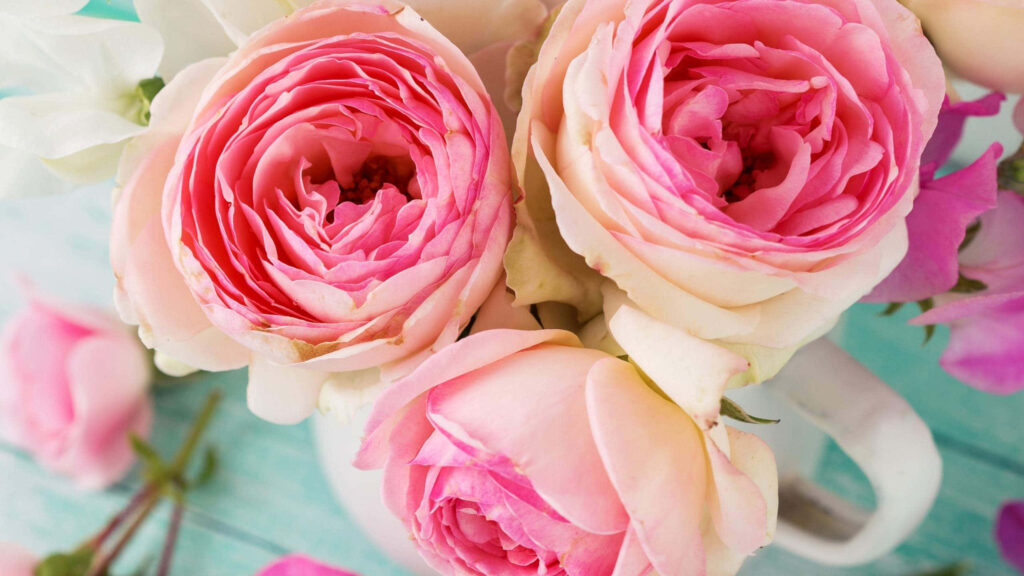 Elegant Pink Roses Wallpaper: Romantic Floral Background for Your Screen