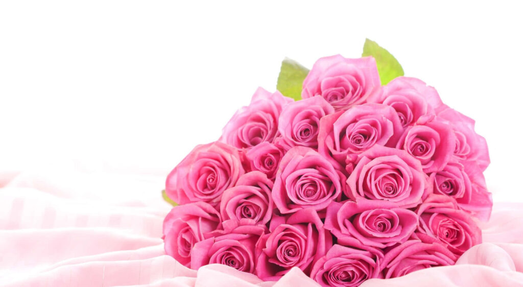 Elegant Pink Rose Bouquet Wallpaper on Soft Light Background
