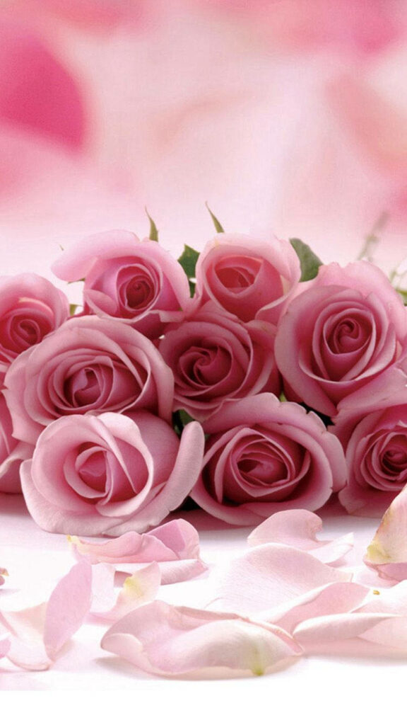 Elegant Pink Roses Wallpaper with Delicate Petals & Soft Background